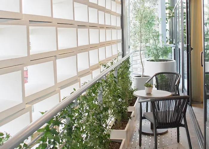 Xoma Boutique By Viadora México DF